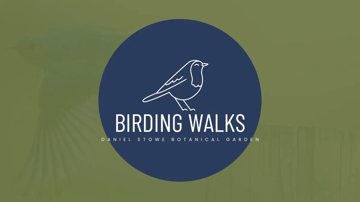 Birding Walks event image from Trail + nature calendars.