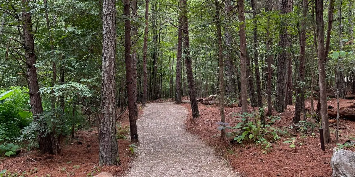 Guided Trail Walk event image from Trail + nature calendars.