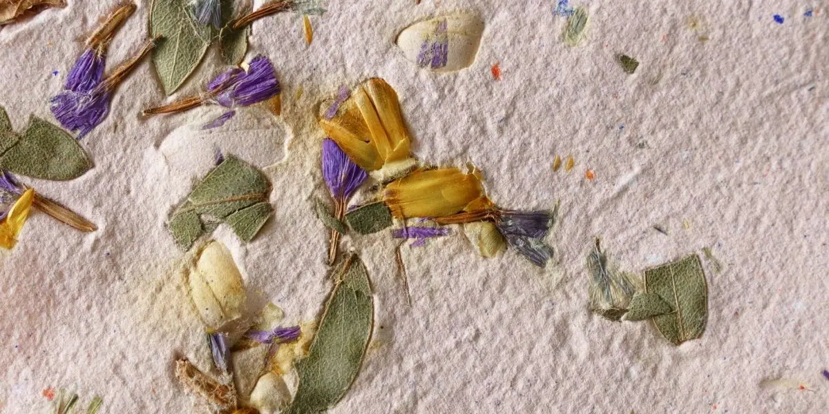 Coffee and Crafts: Seed Paper Making event image from Trail + nature calendars.