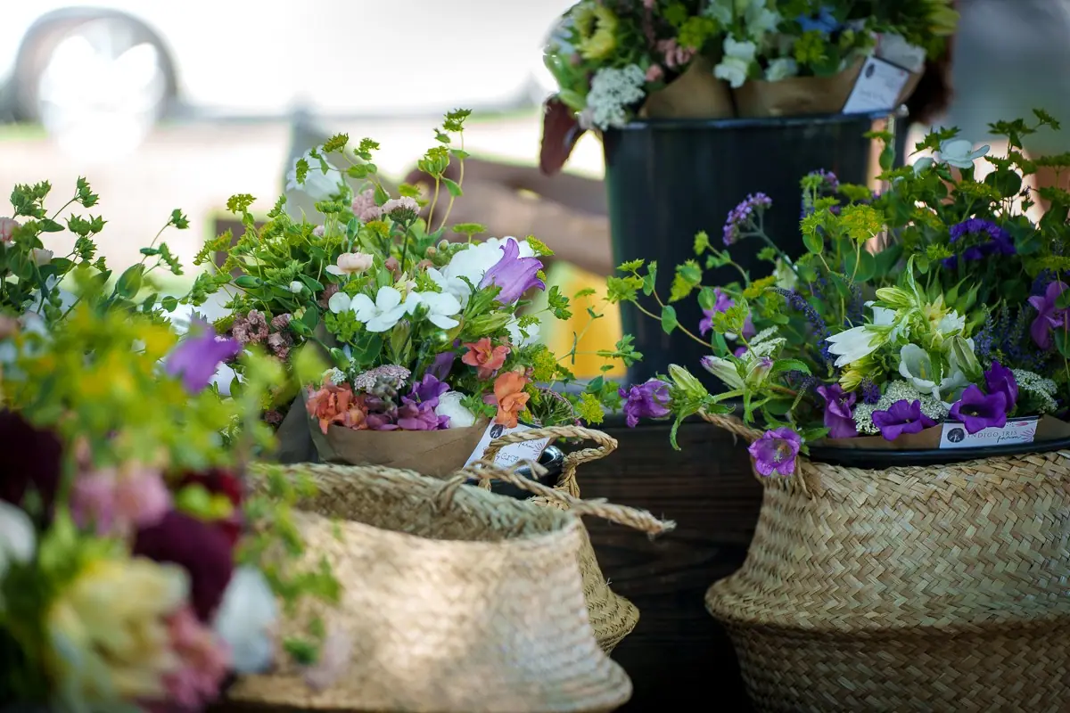 Village Market event image from Trail + nature calendars.