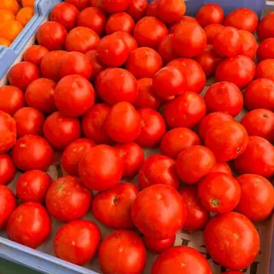 South End Farmers Market event image from Farmers market calendars.