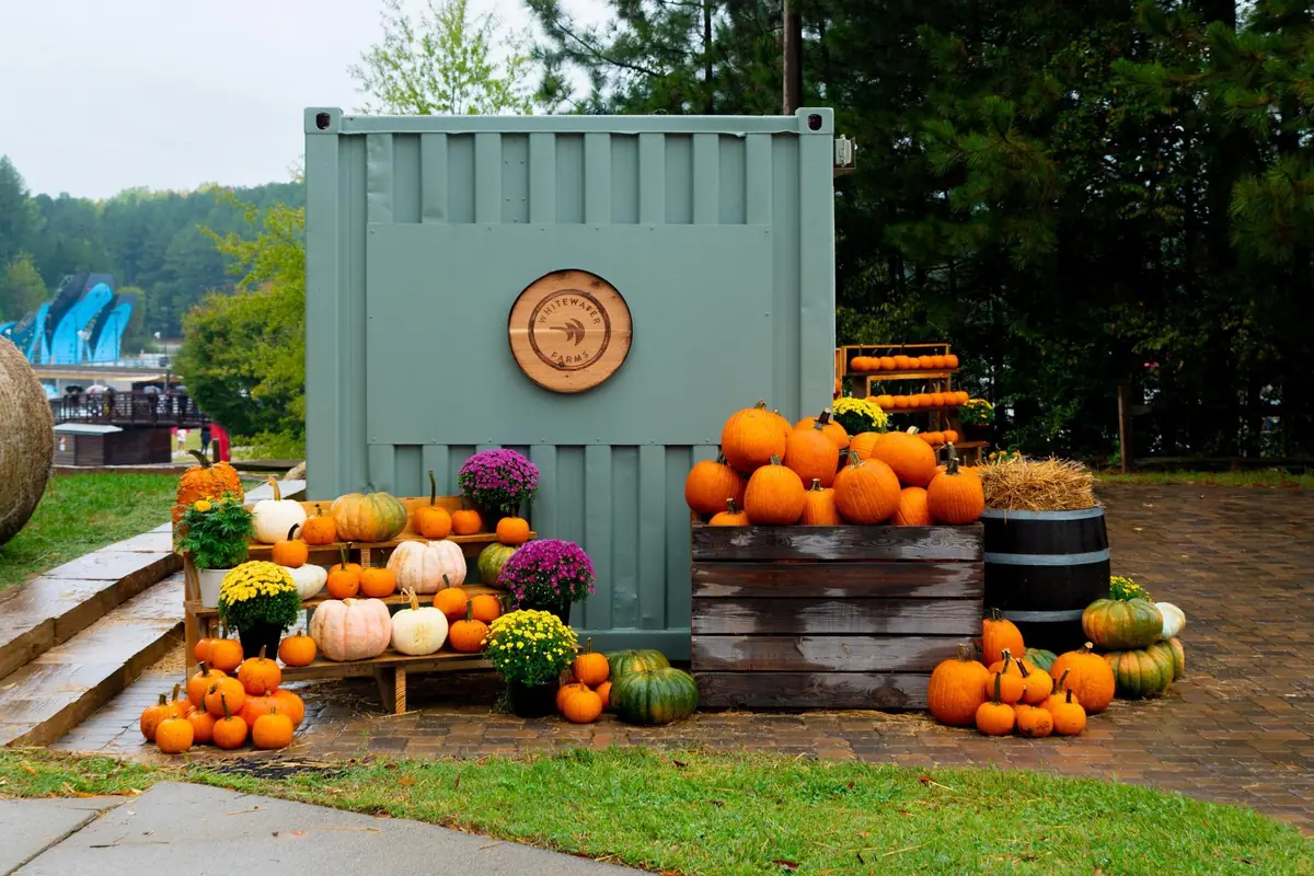 Fall Market event image from Whitewater Center.