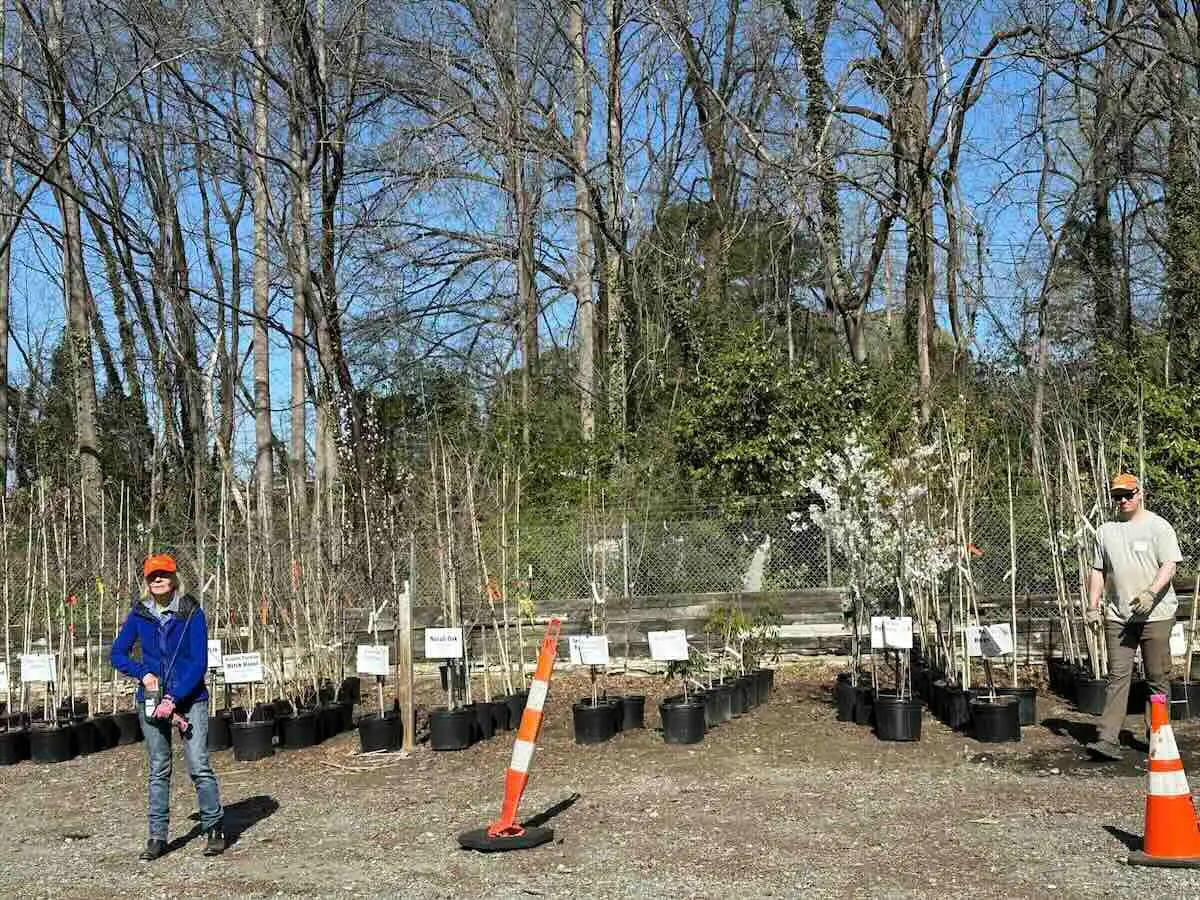 Registration opens for Sept. 26 Meck County Tree Adoption event image from Charlotte On The Cheap.