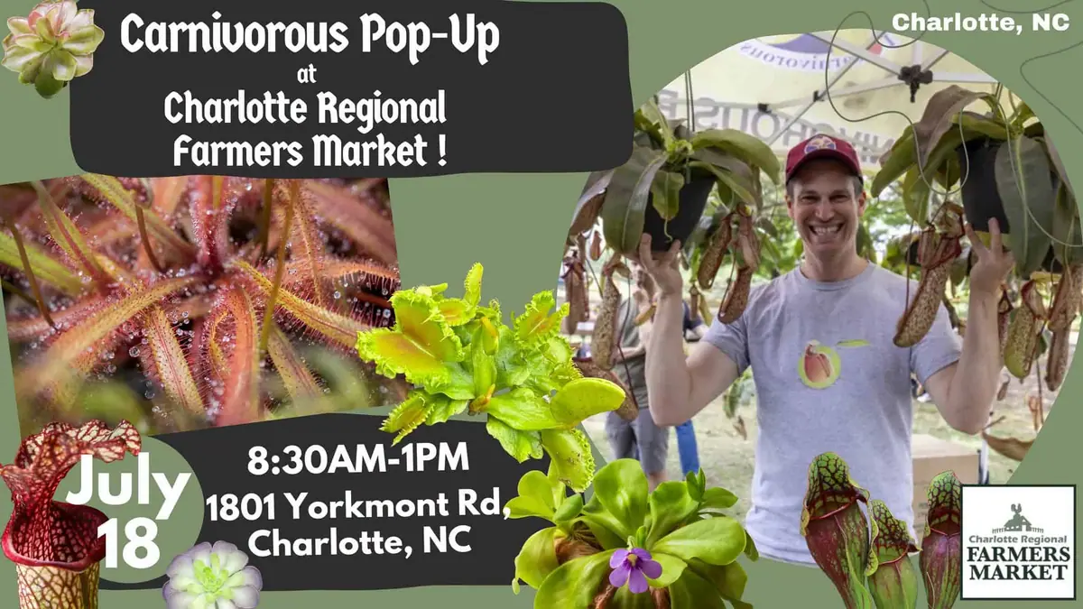 Carnivorous Plant Pop-Up at Charlotte Regional Farmers' Market event image from Charlotte On The Cheap.